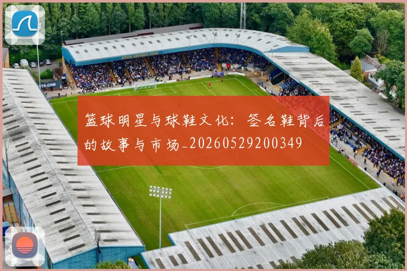 篮球明星与球鞋文化:签名鞋背后的故事与市场_20260529200349